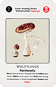 Spielkarte