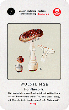Spielkarte