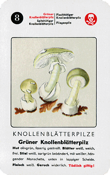 Spielkarte