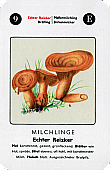 Spielkarte