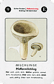 Spielkarte