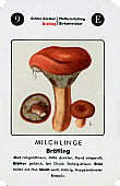 Spielkarte