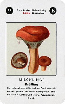 Spielkarte
