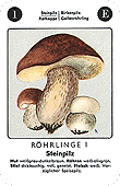 Spielkarte