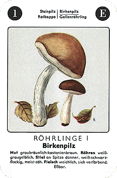 Spielkarte