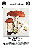 Spielkarte