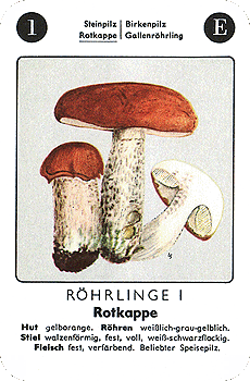 Spielkarte