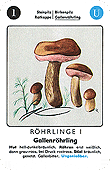 Spielkarte