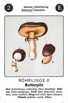 Spielkarte