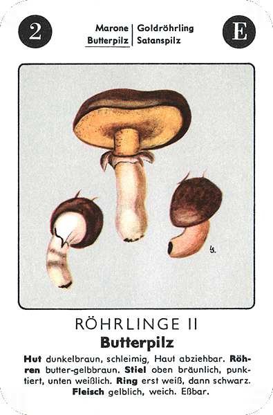 Spielkarte