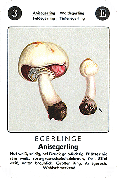 Spielkarte