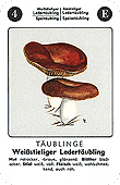 Spielkarte