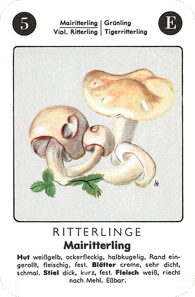 Spielkarte