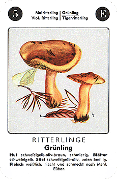 Spielkarte