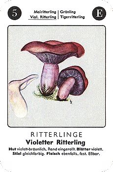 Spielkarte