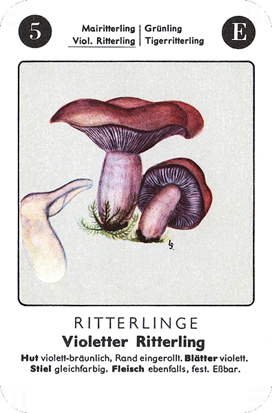 Spielkarte