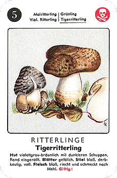 Spielkarte