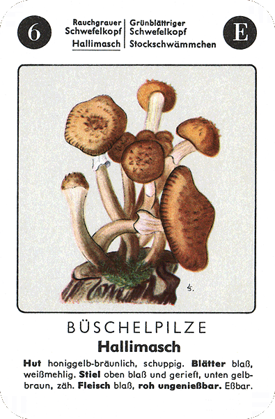 Spielkarte