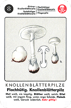 Spielkarte