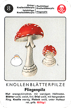 Spielkarte