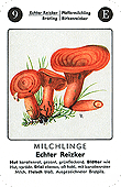 Spielkarte