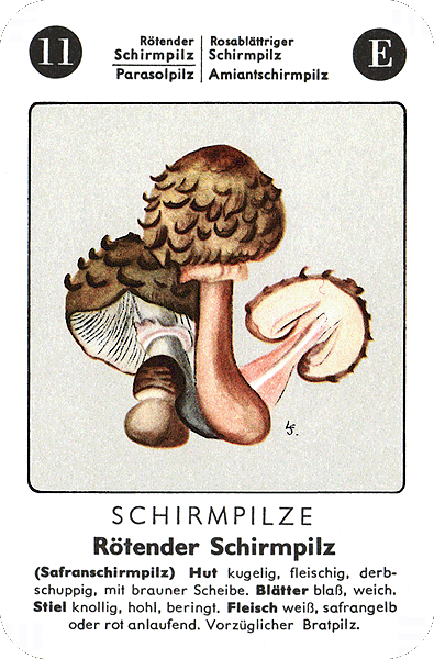 Spielkarte