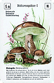 Spielkarte