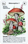 Spielkarte