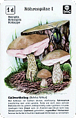 Spielkarte