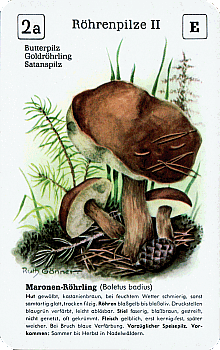 Spielkarte