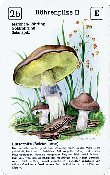 Spielkarte