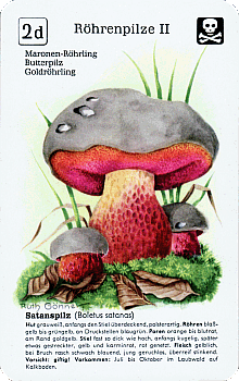 Spielkarte