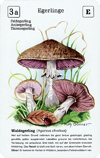Spielkarte