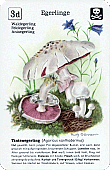 Spielkarte