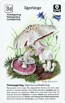 Spielkarte