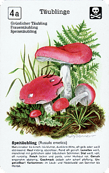 Spielkarte
