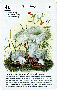 Spielkarte