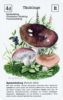 Spielkarte