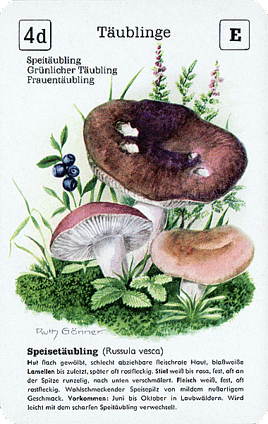 Spielkarte
