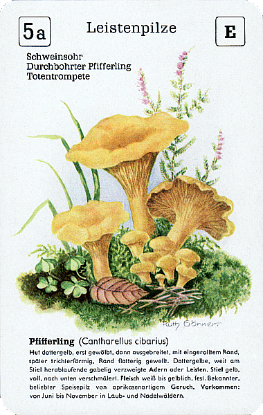 Spielkarte