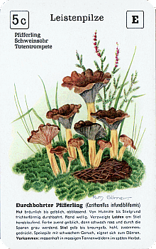 Spielkarte