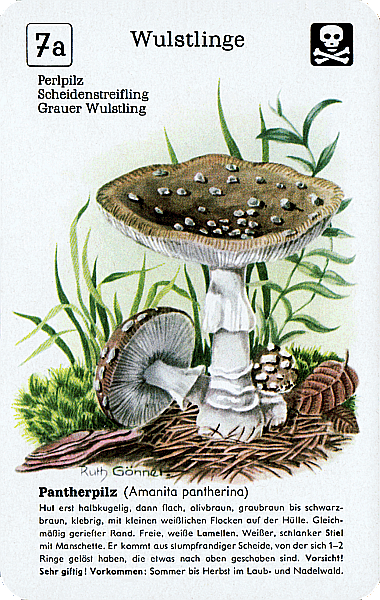 Spielkarte