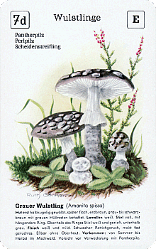Spielkarte