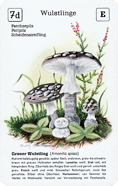Spielkarte
