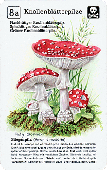 Spielkarte