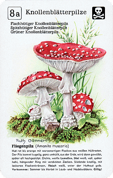 Spielkarte