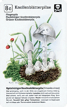 Spielkarte