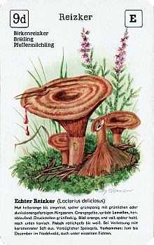 Spielkarte