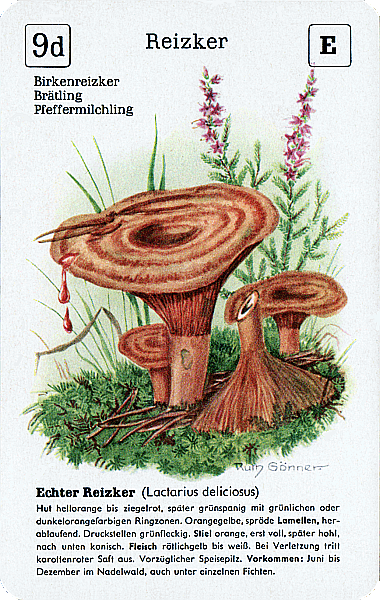 Spielkarte