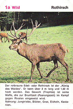 Spielkarte